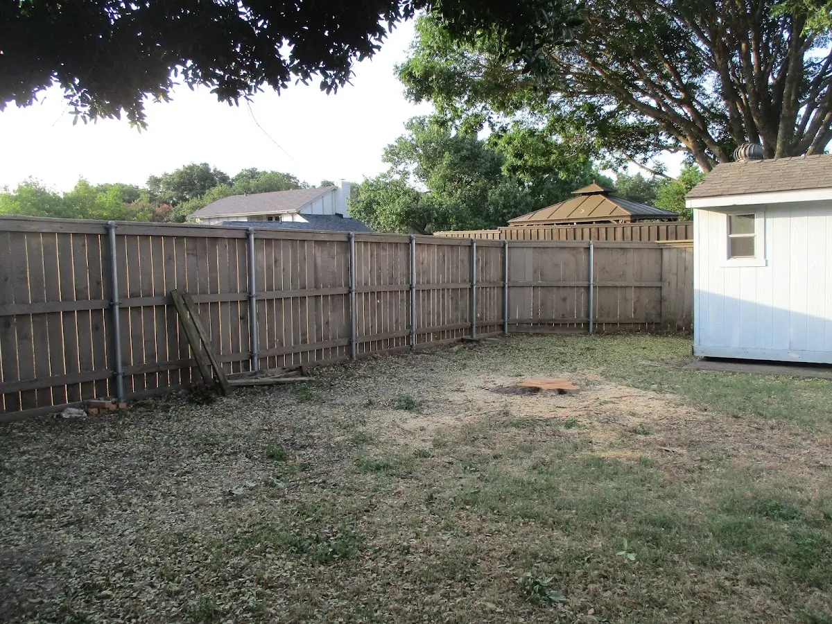 Cleared yard after professional tree removal in New Germany